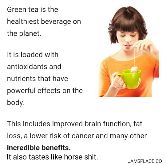 wp-1447755146686 image